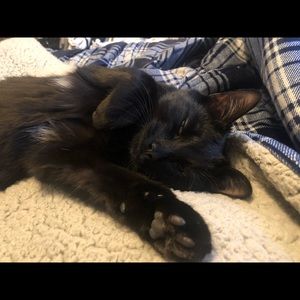 Meet your Posher, Melissa